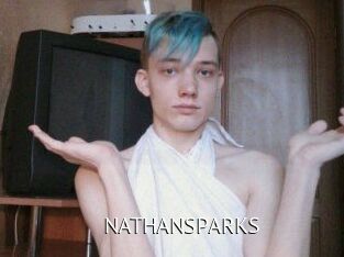 NATHAN_SPARKS