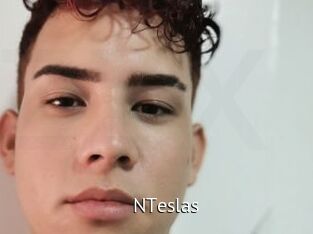 NTeslas Zizi X