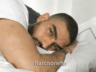 Narcisonefer