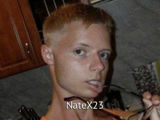 NateX23 Zizi X