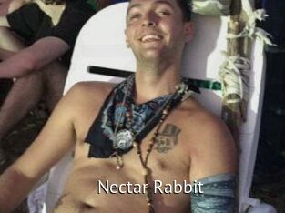 Nectar_Rabbit