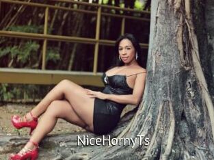 NiceHornyTs