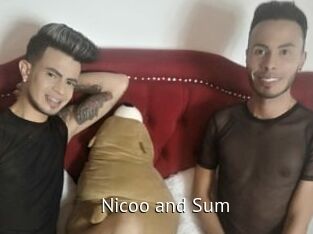 Nicoo_and_Sum Zizi X