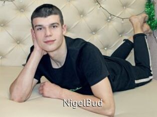 NigelBud