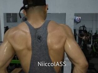 NiiccolASS