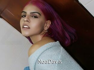 NoaDavis