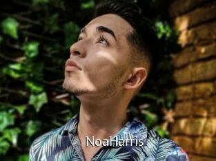NoaHarris