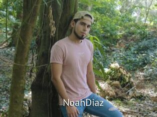 NoahDiaz