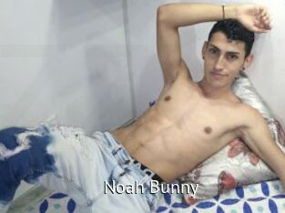 Noah_Bunny