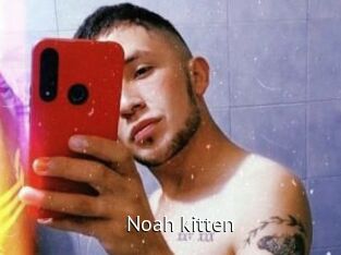 Noah_kitten