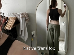 Native_trans_fox