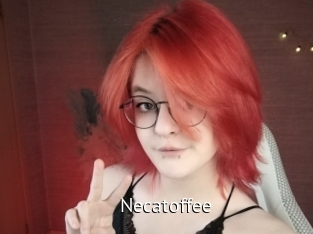 necatoffee Zizi X