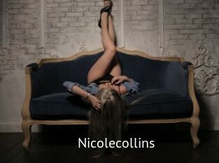 nicolecollins Zizi X