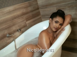 nicollegrantt Zizi X