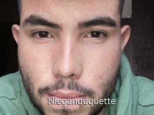 Nieganduquette