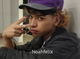 noahfelix Zizi X