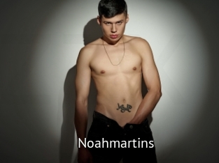 noahmartins Zizi X