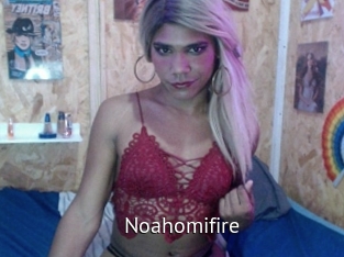 Noahomifire