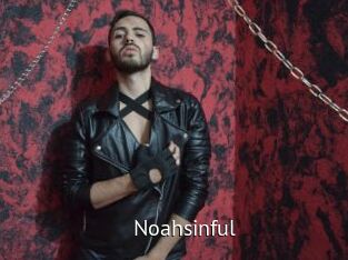 Noahsinful