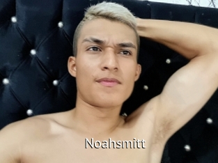 noahsmitt Zizi X
