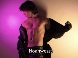 Noahwesstt