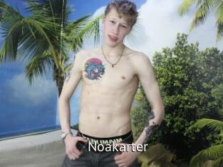 Noakarter