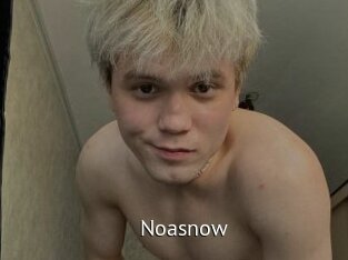 noasnow Zizi X