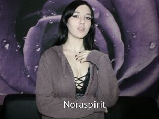 Noraspirit