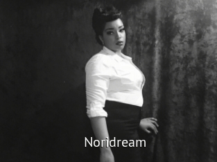noridream Zizi X