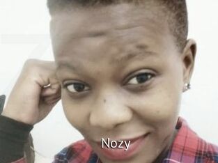 Nozy