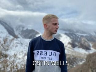 OSTIN_WELLS