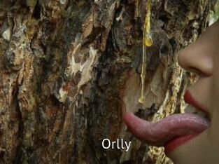 Orlly Zizi X