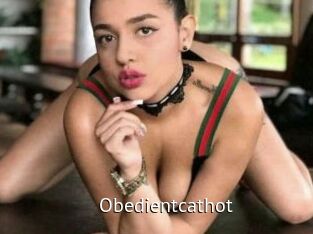 Obedientcathot