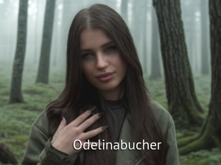 Odelinabucher