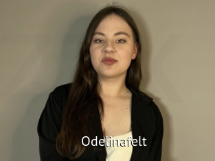 Odelinafelt