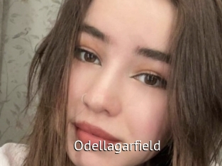 Odellagarfield