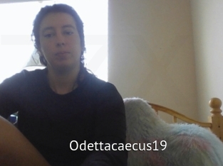 Odettacaecus19