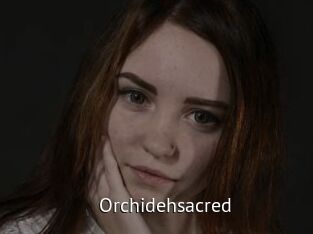 orchidehsacred Zizi X