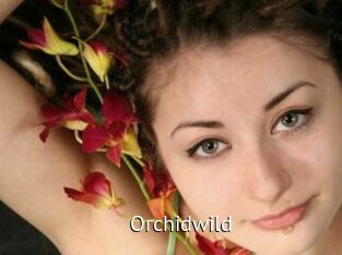 orchidwild Zizi X
