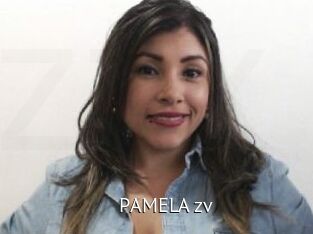 PAMELA_zv