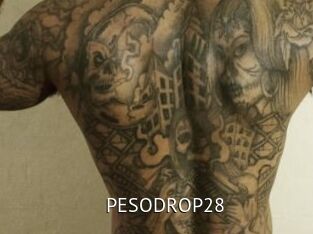 PESODROP28