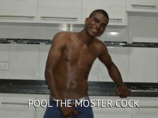 POOL_THE_MOSTER_COCK