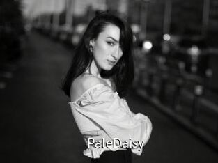 PaleDaisy