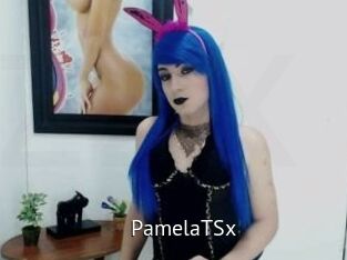 PamelaTSx