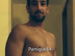 Pamigue84