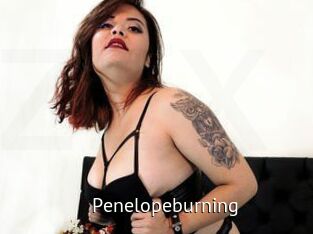 Penelopeburning Zizi X