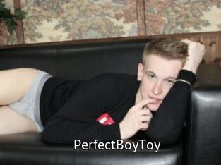 PerfectBoyToy