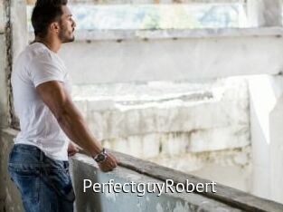 PerfectguyRobert