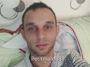 Petitmaldu88 Zizi X