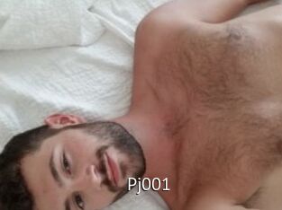 Pj001